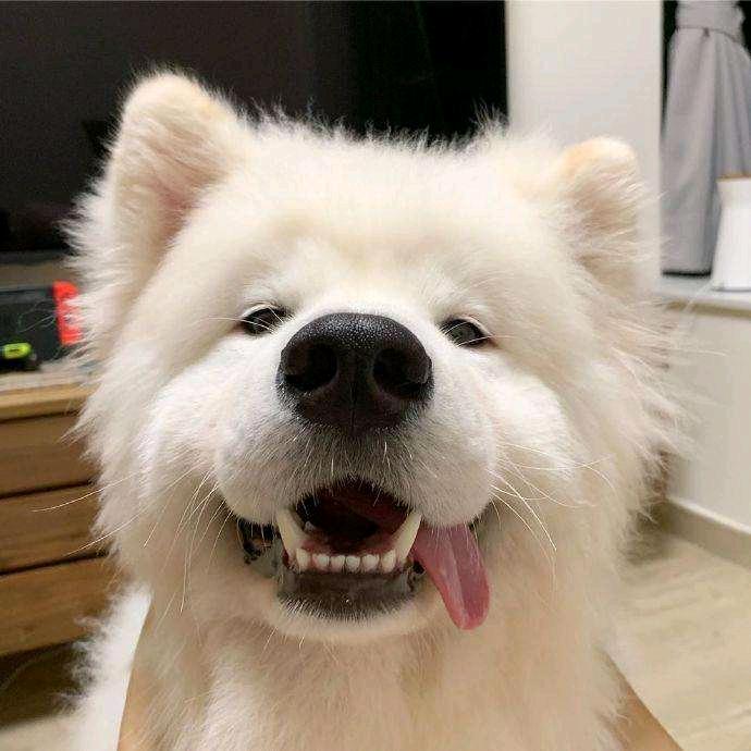 楚楚不可怜😣