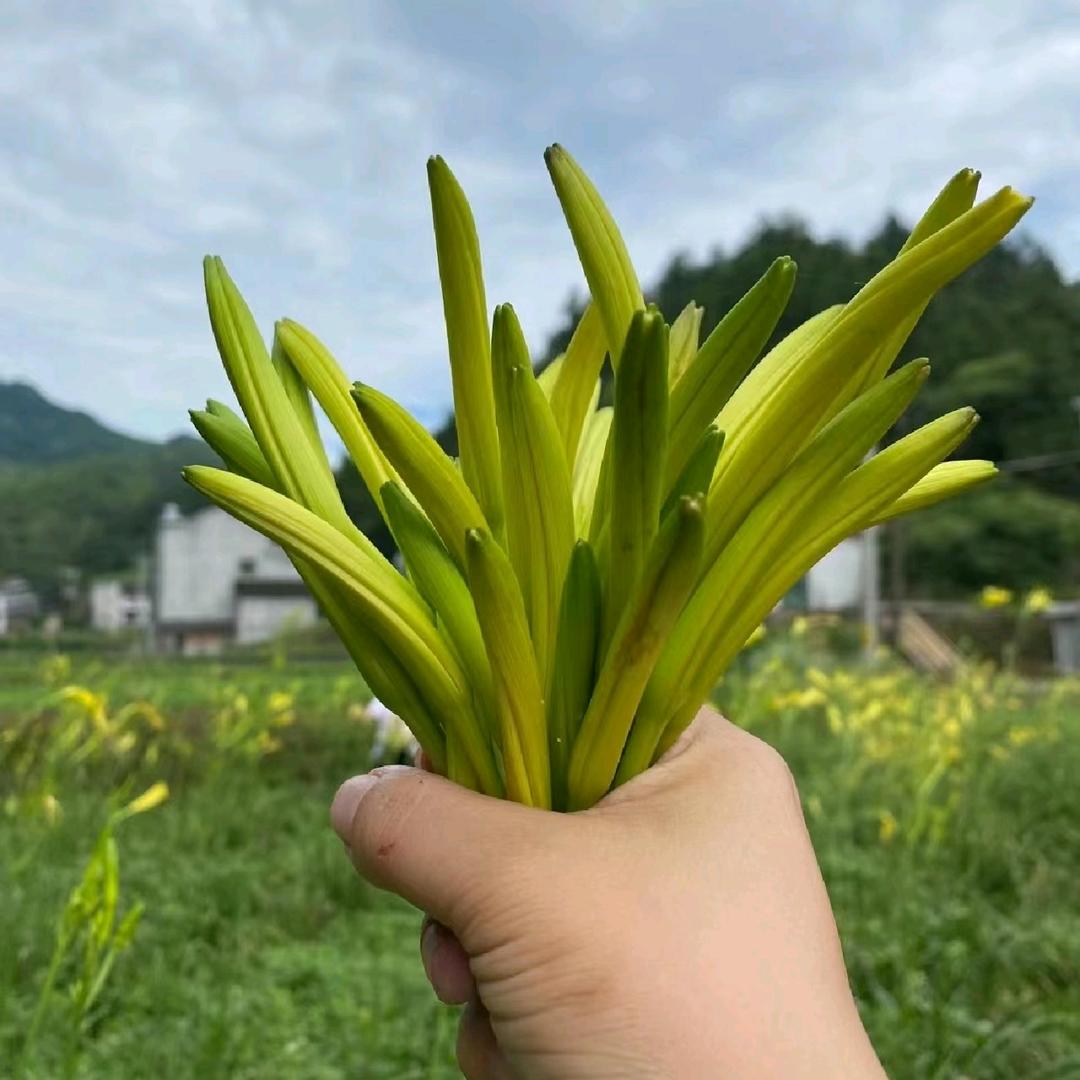 拓云农产品