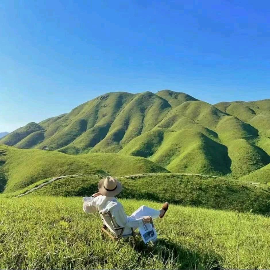 荀子哥.