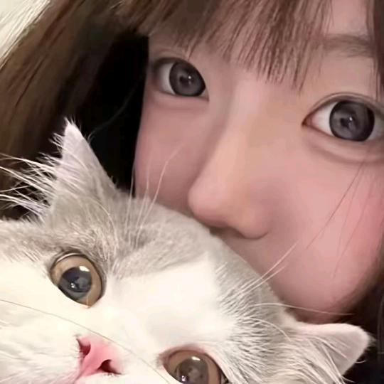 小鱼