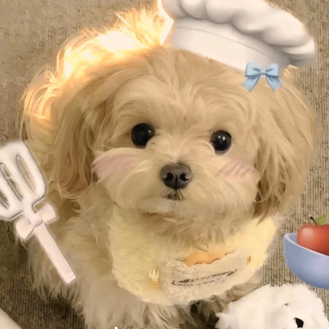 跟着小新弹古筝