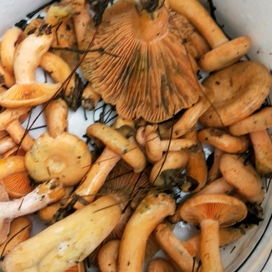 室内装修一条龙