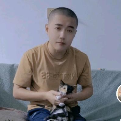 *<(¦Q独角兽[▓▓