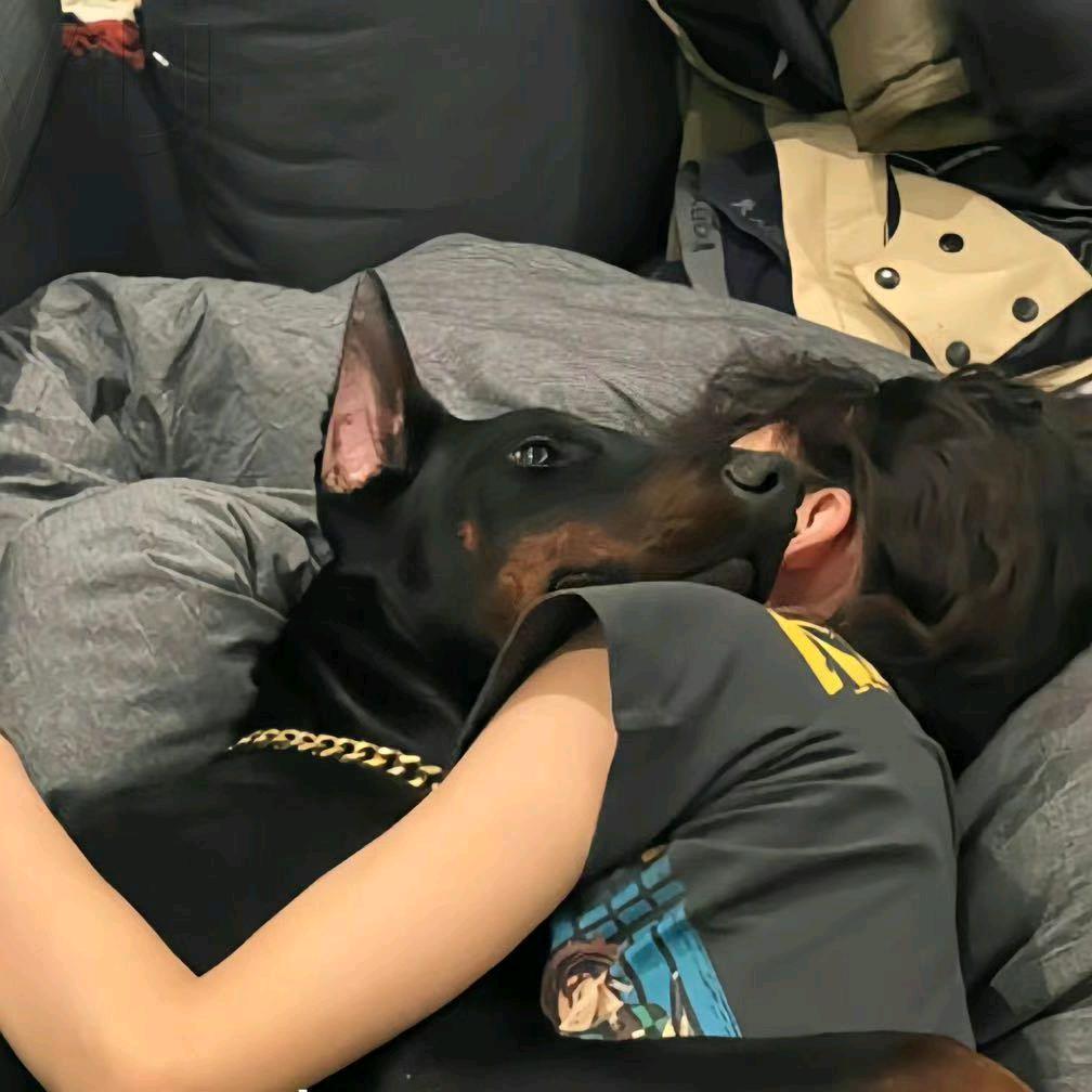 打瞌睡啦💤