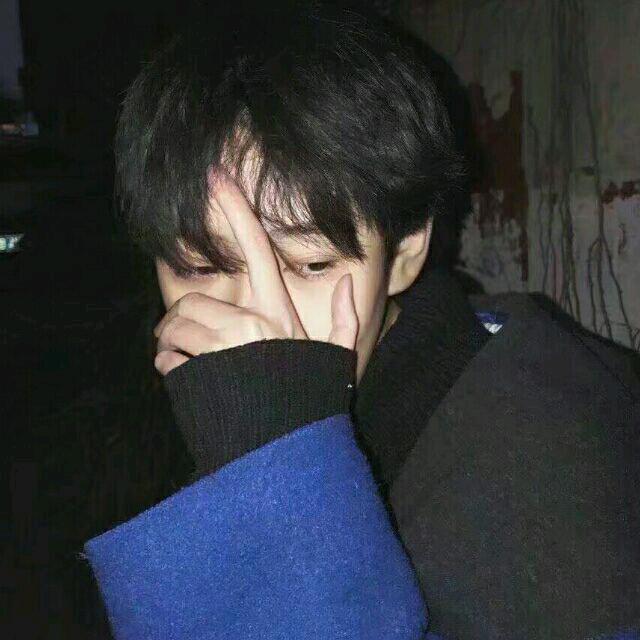 洋洋i
