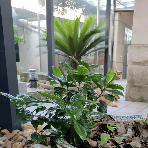 方圆