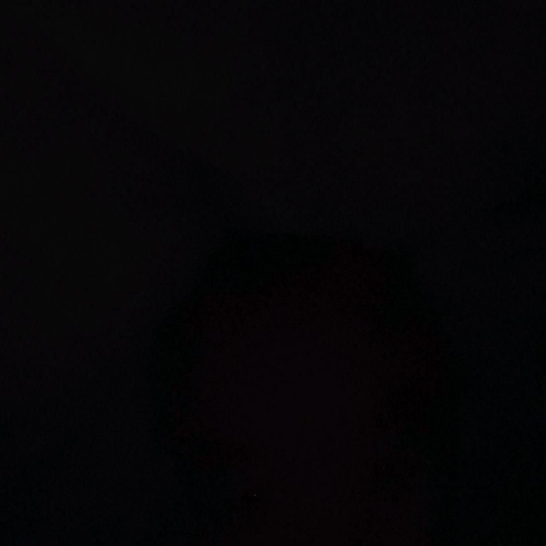 刘方田西女甲母