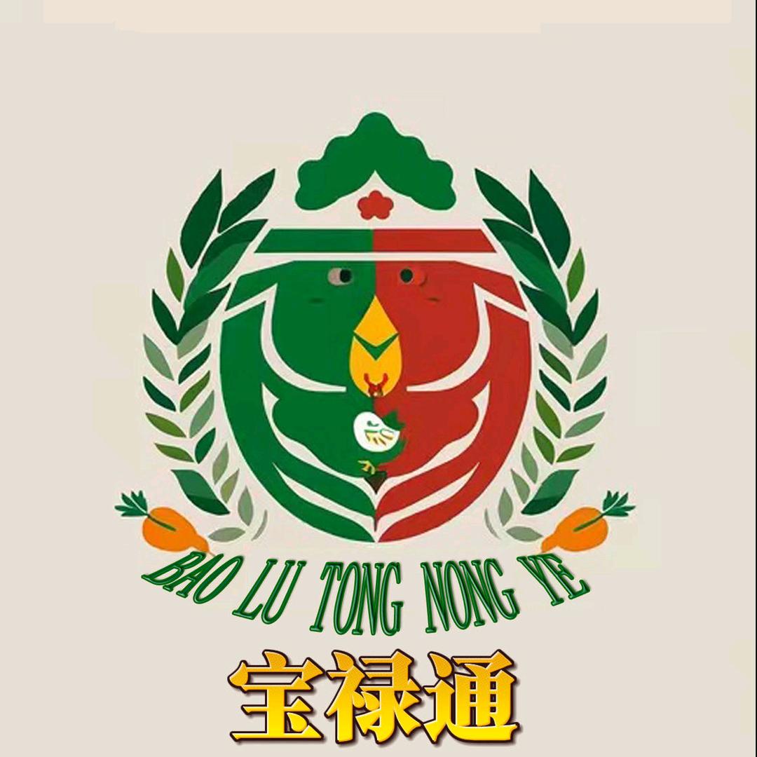 毅峰宝禄通