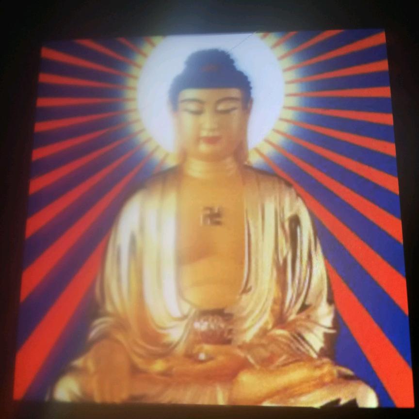 不离不弃