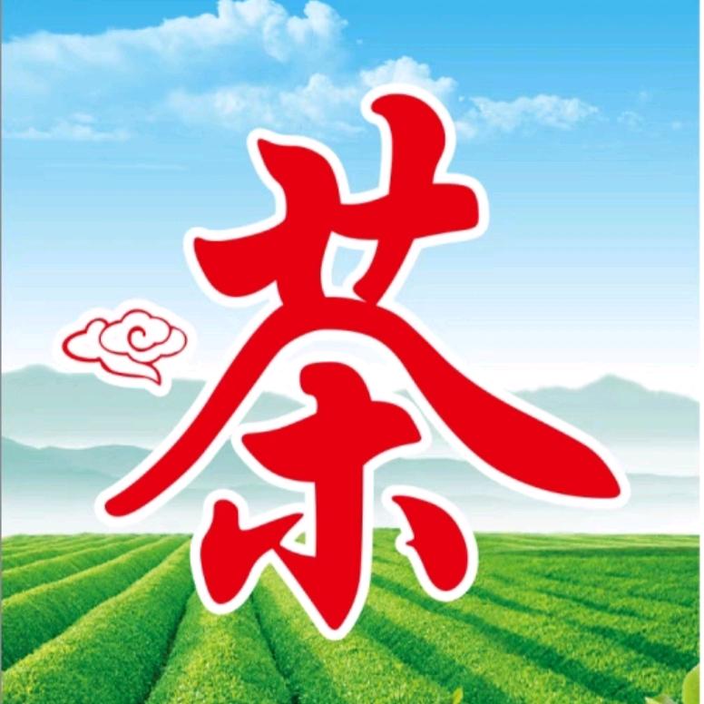 茶叶批发自产自销小兰花 白云春毫 柯坦