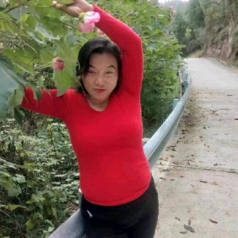 姚金凤