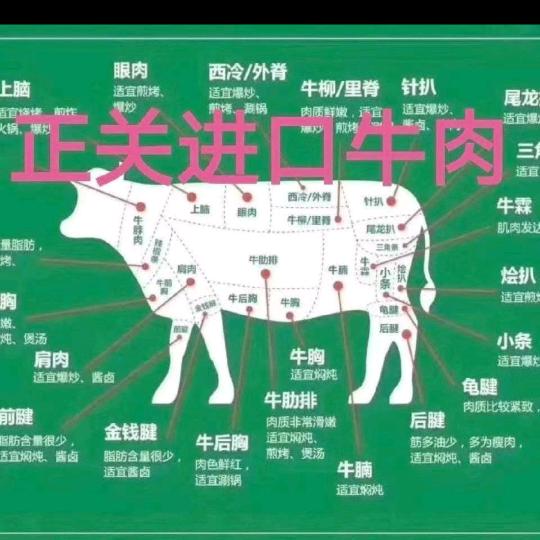 南宁冷冻食品批发