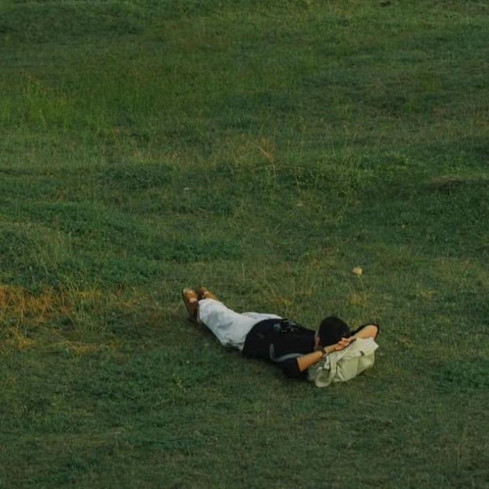 上帝家的矮脚马