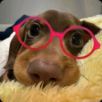 小Y