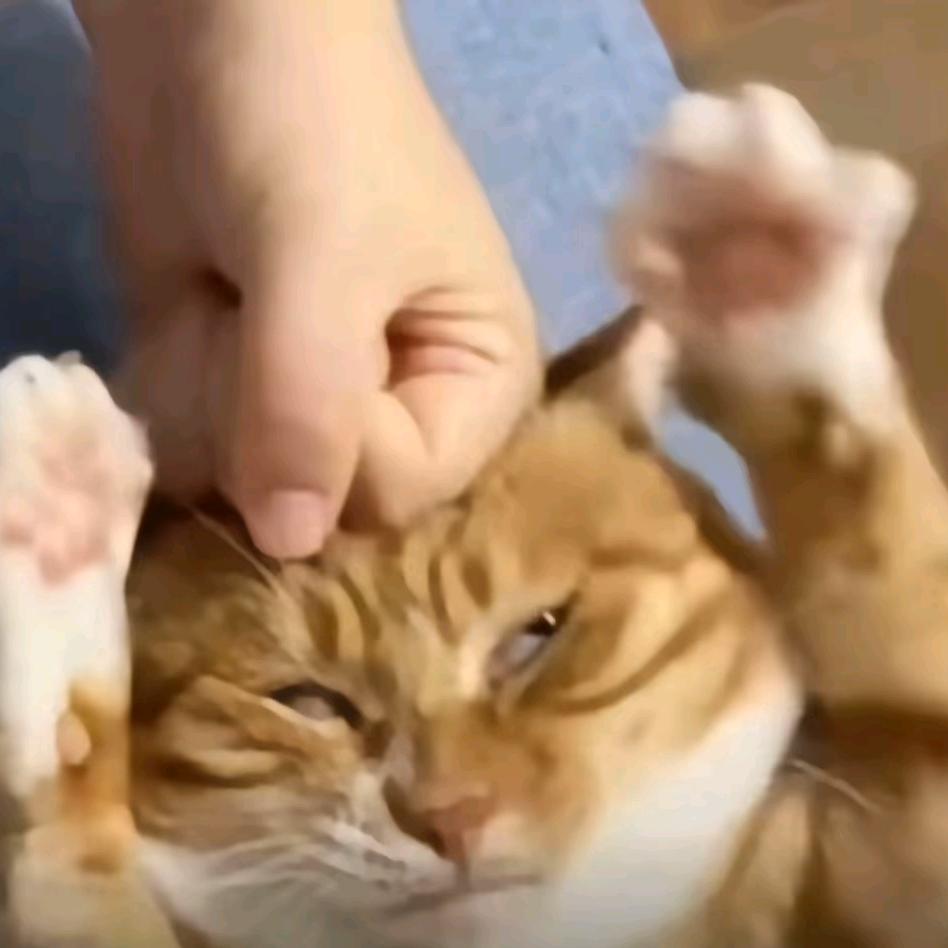 广式双马尾大战螺蛳粉