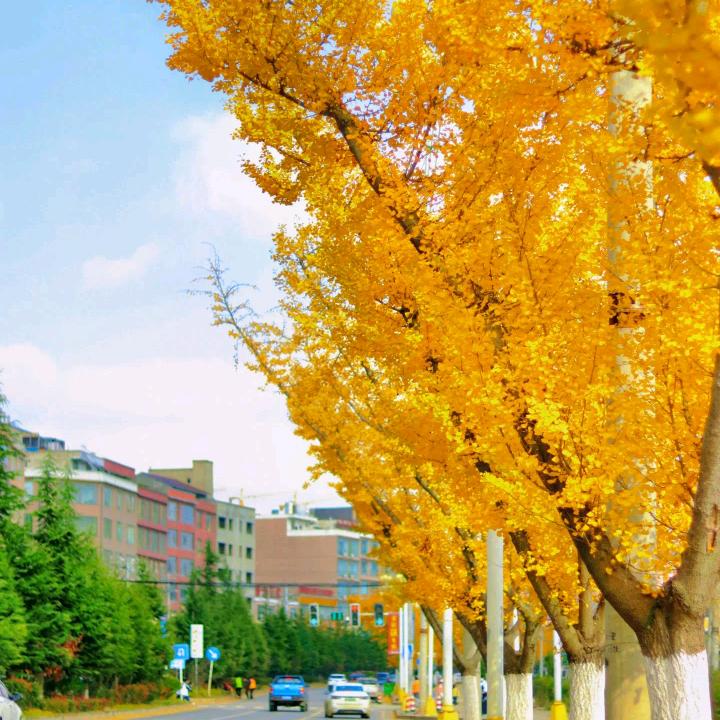 相信光，成为光