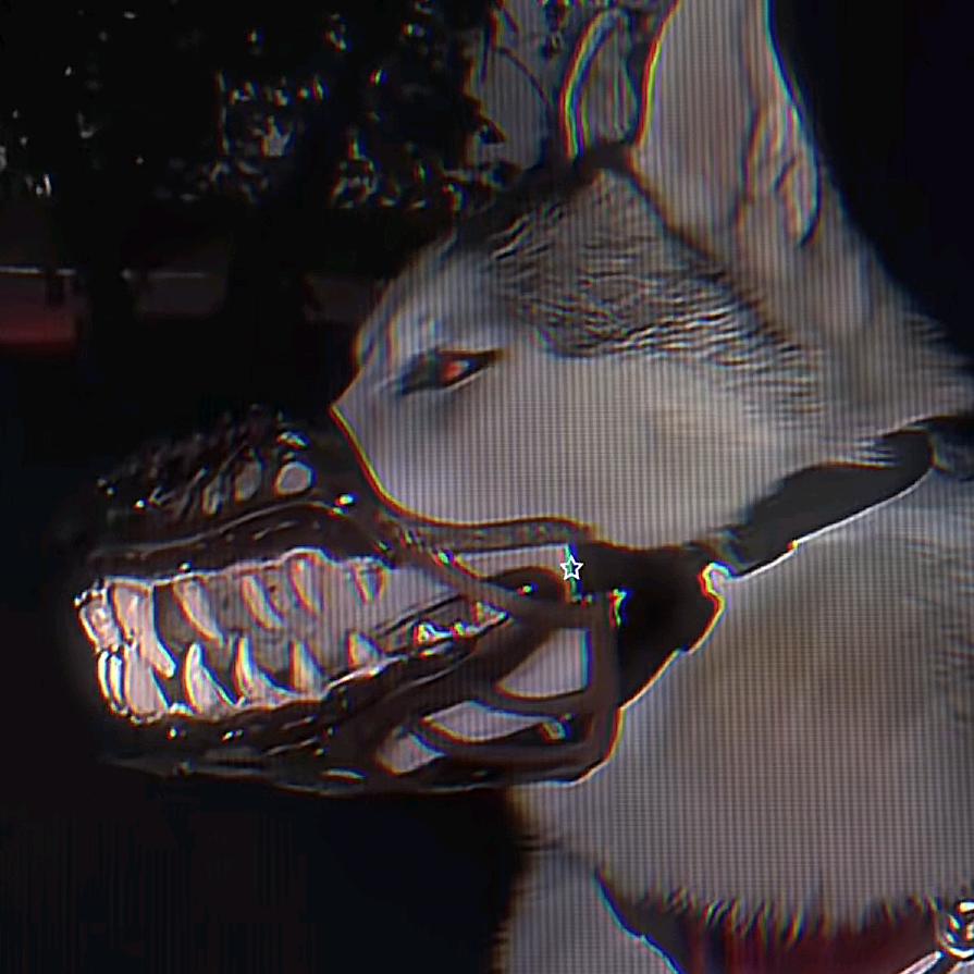 殈FIDX
