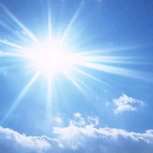 @隔壁🌴菇凉🎉