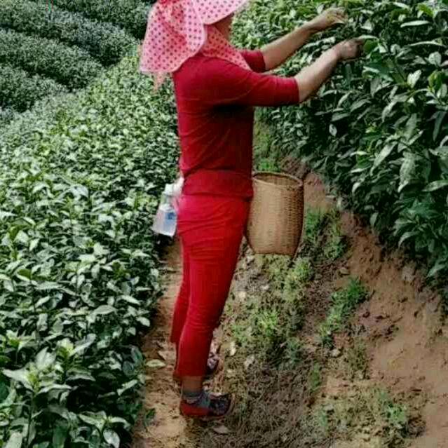 😀😃稳稳的幸福👩‍❤️‍👩
