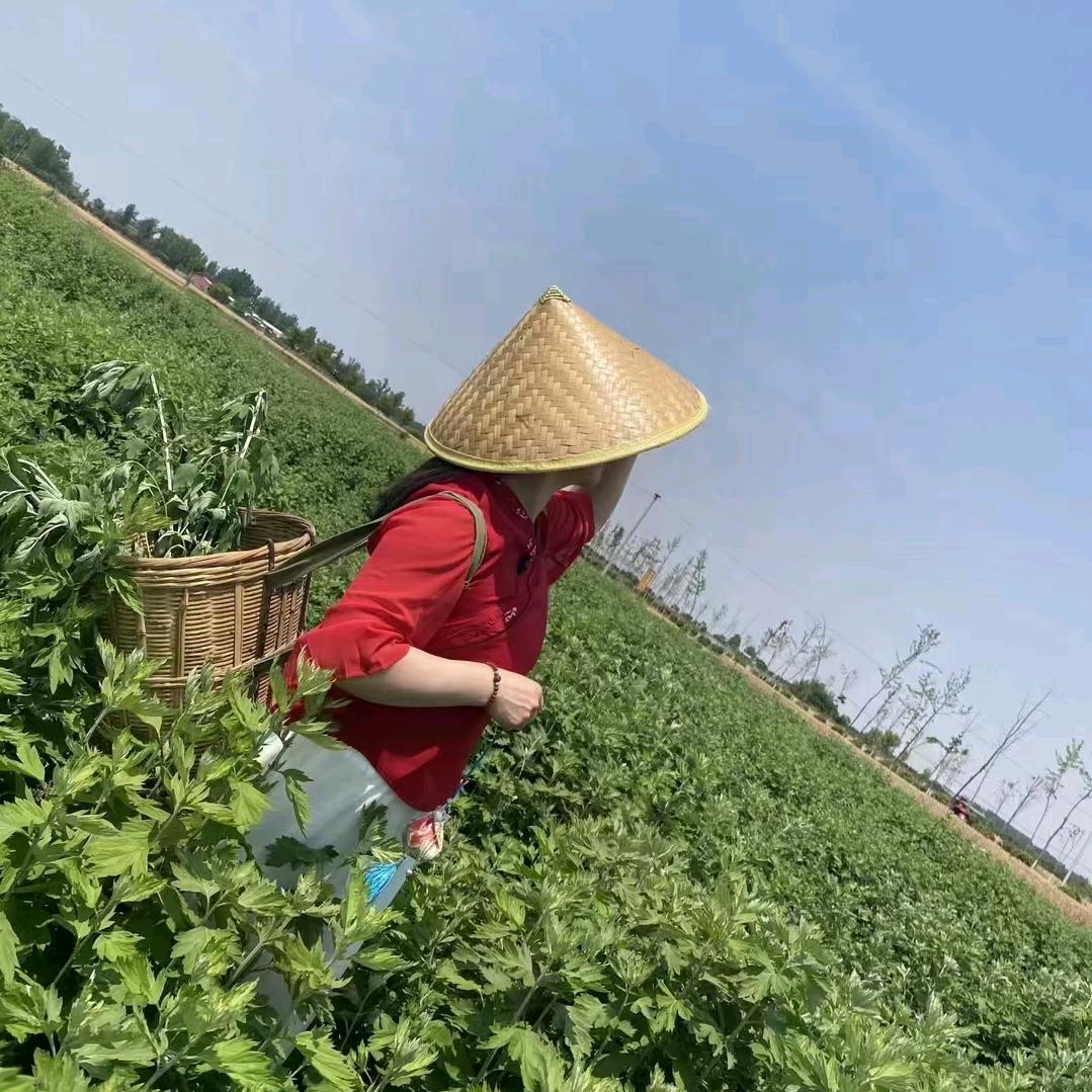 用户6826584119268