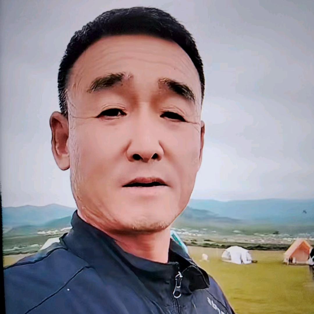 城市骆驼