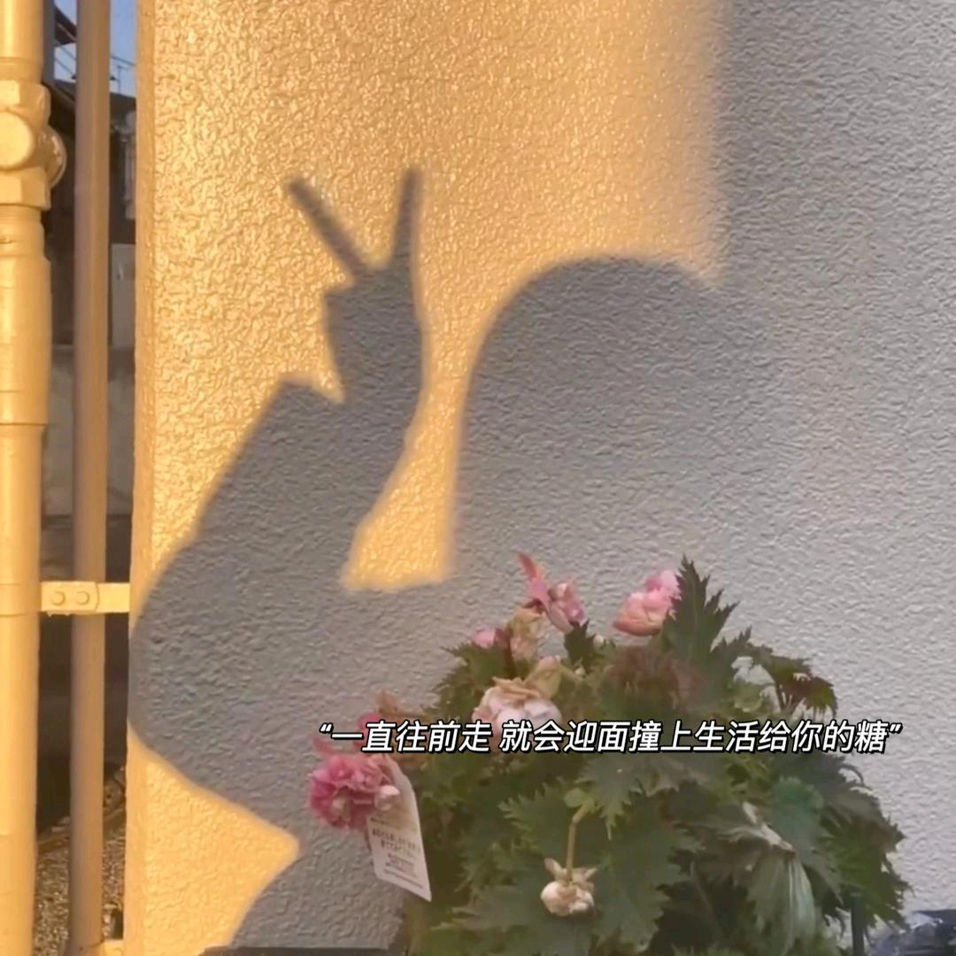 是小小郑呀！