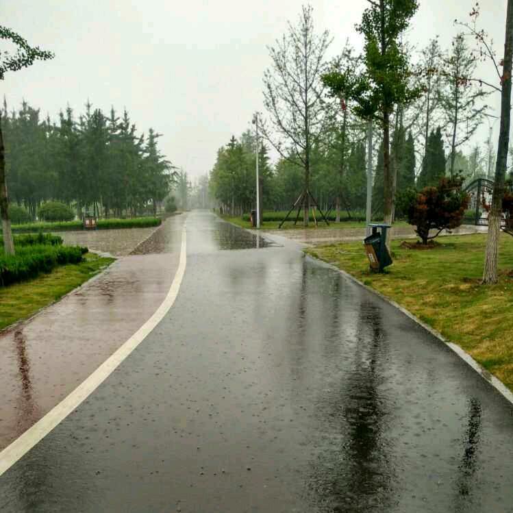 起个什么网名好