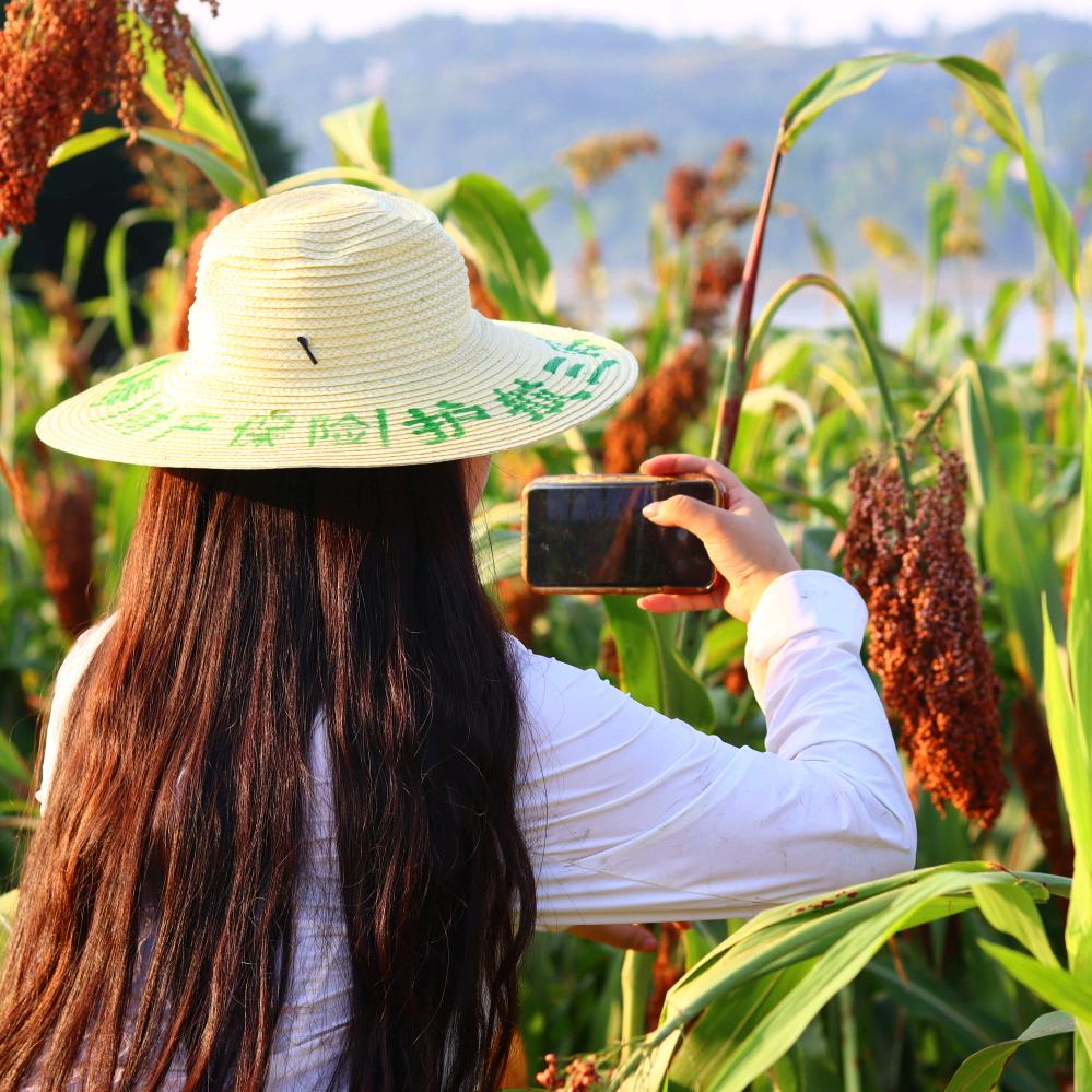 芒果街上的小屋