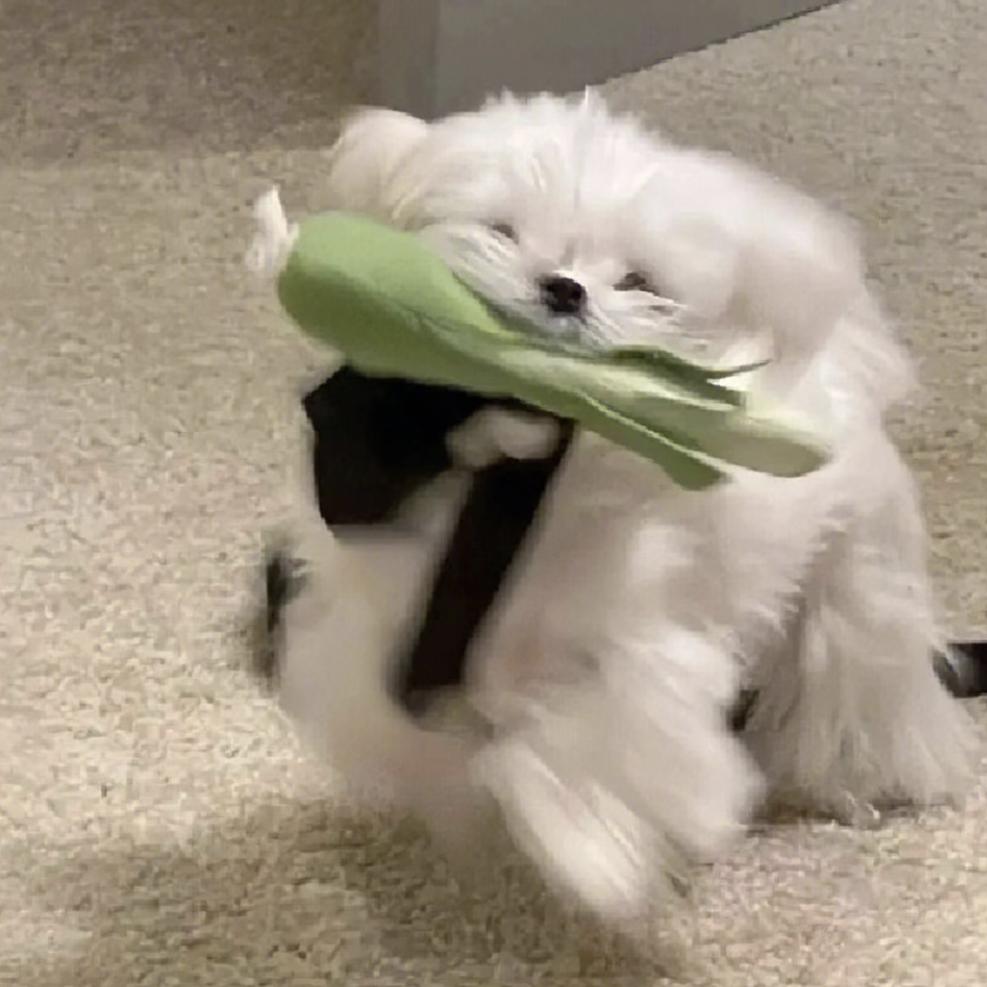 狂暴小泥🍔