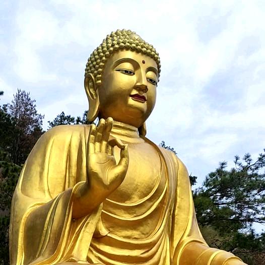 ✨小运连连✨