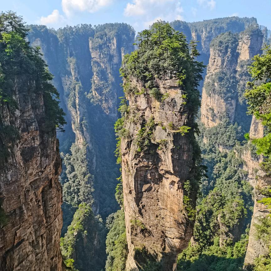 小畅哥