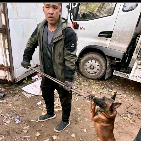 山西专业套狗（全国可套）