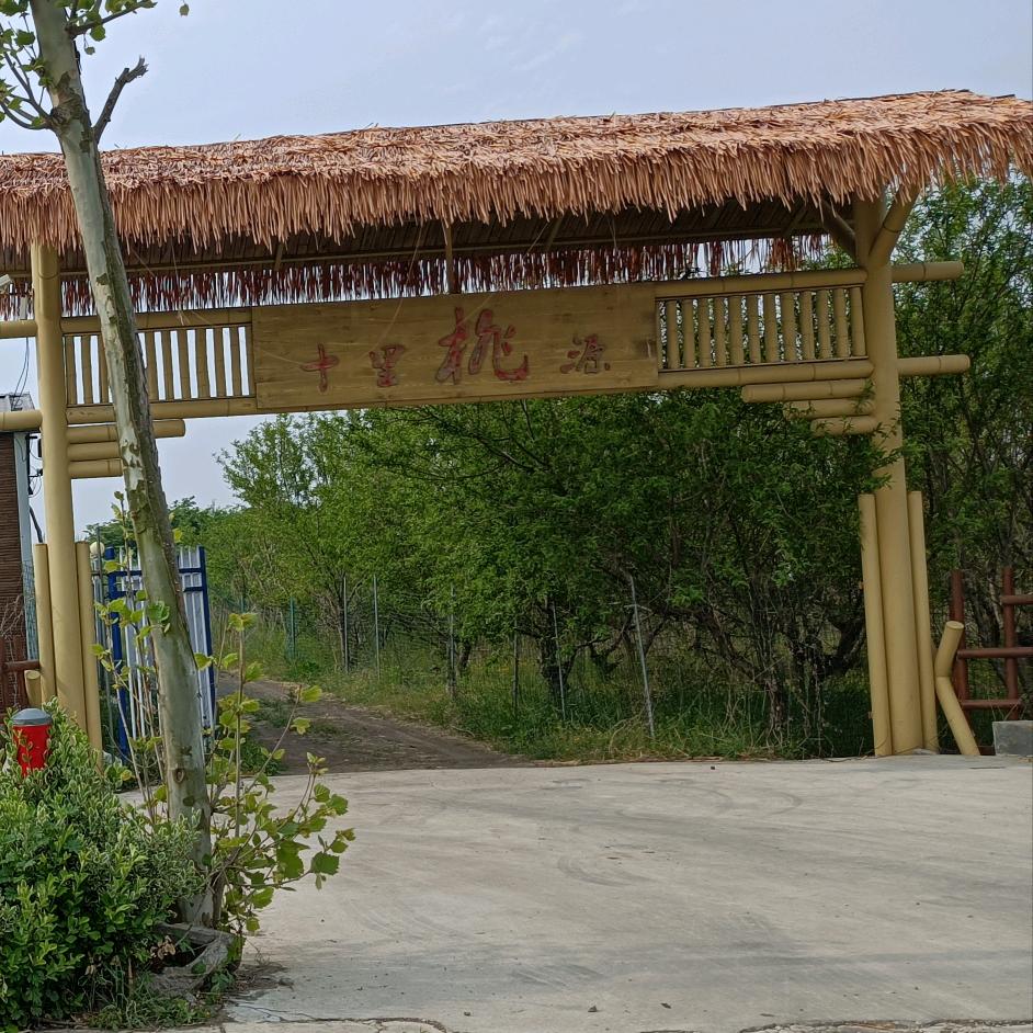 十里桃源 刘技术