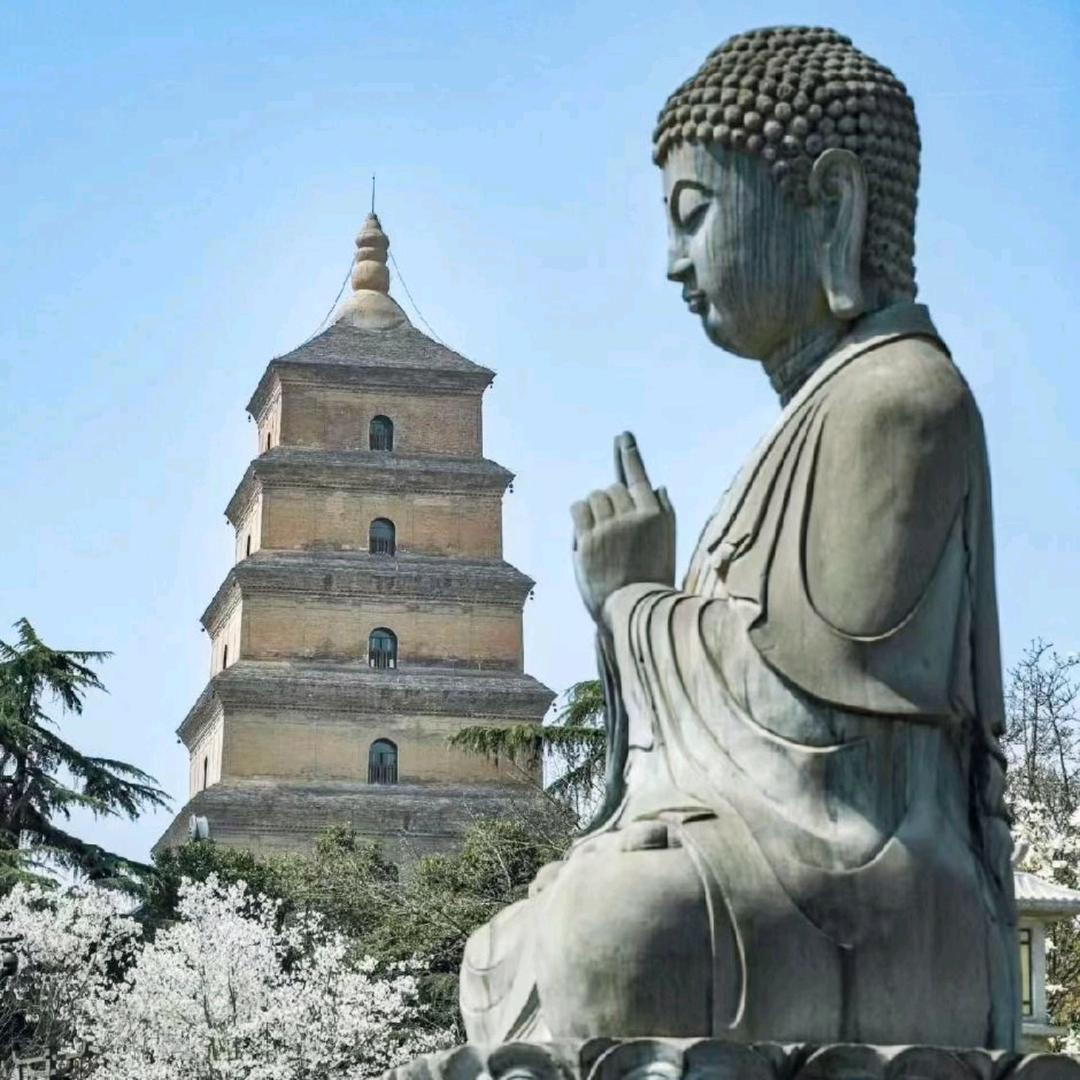 汾阳金杰图文广告（周润发）