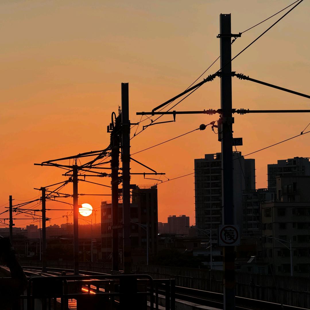 锦鲤附体