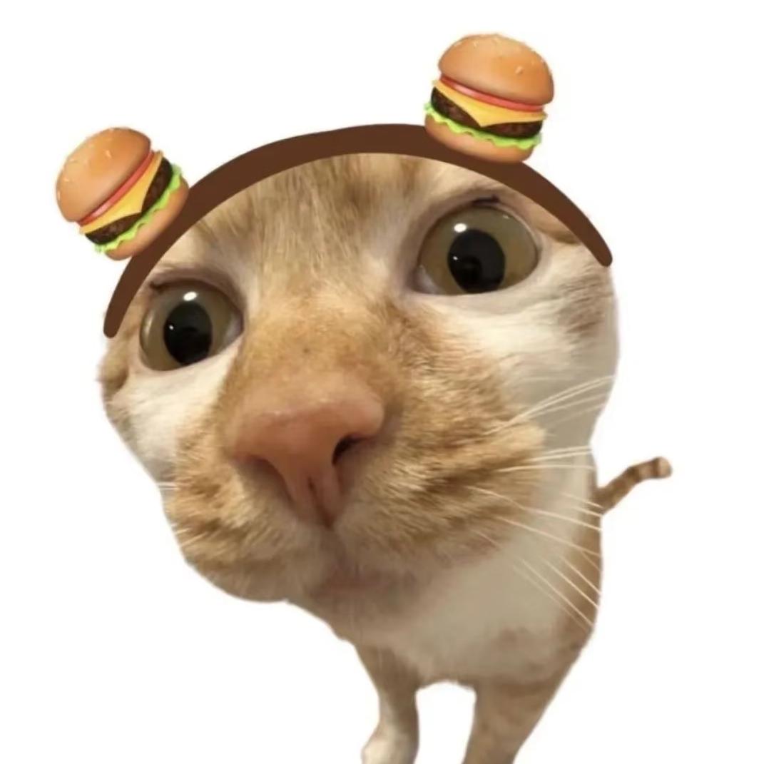 偷🍔猫的🐭