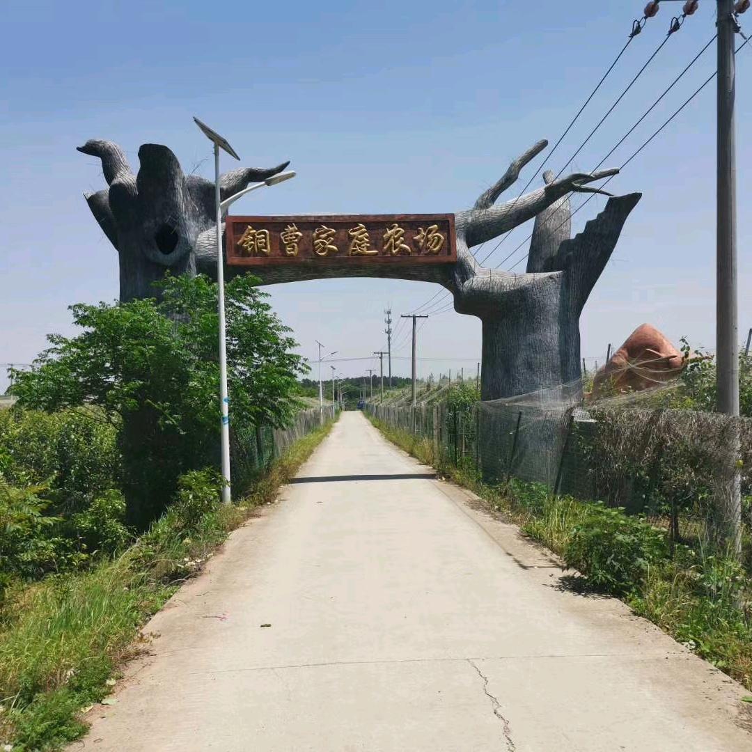 “桃”“梨”喜欢