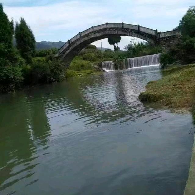 坦城