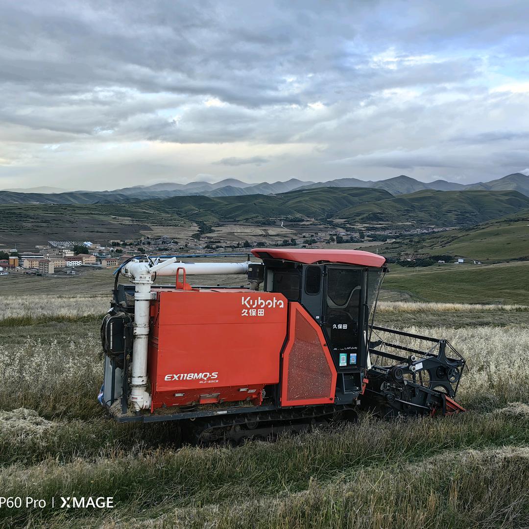 10后麦客（扯淡）