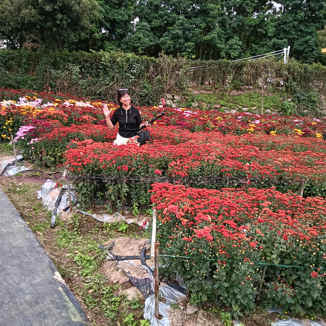 虎姐相信自己！