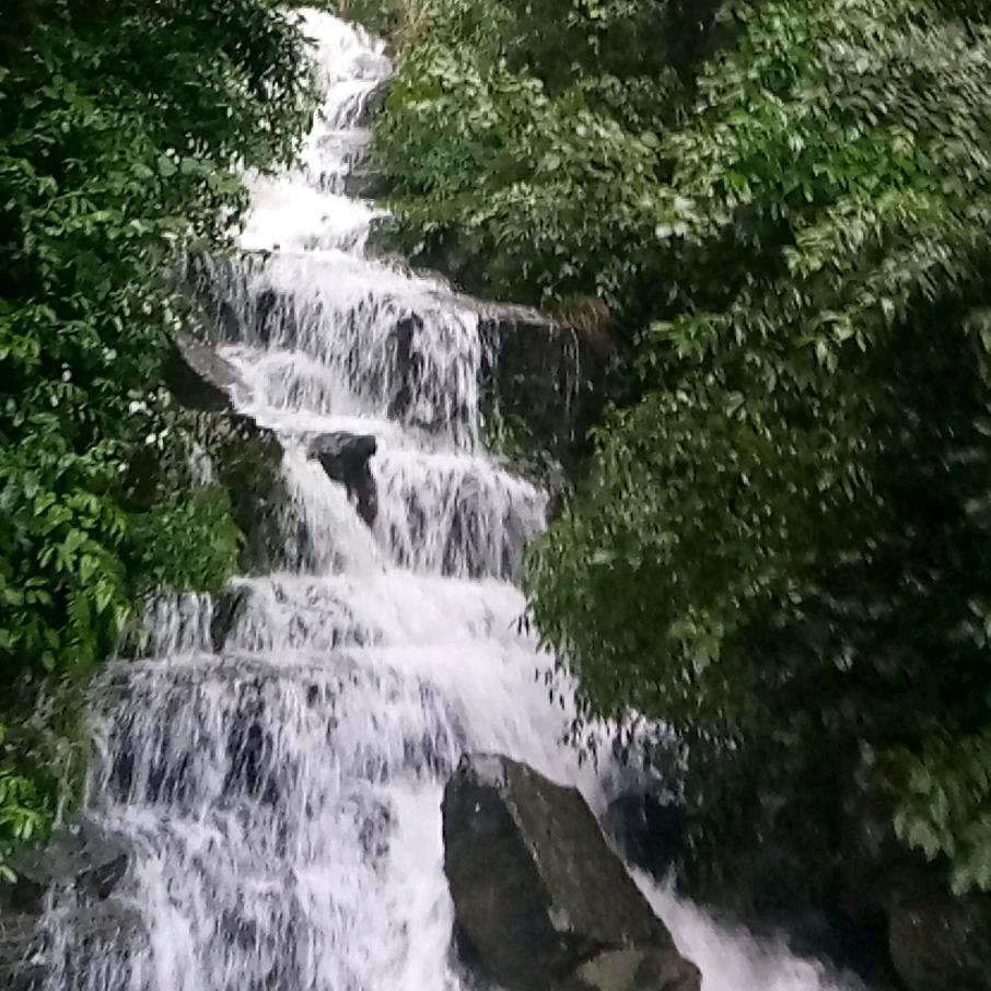 潇洒哥