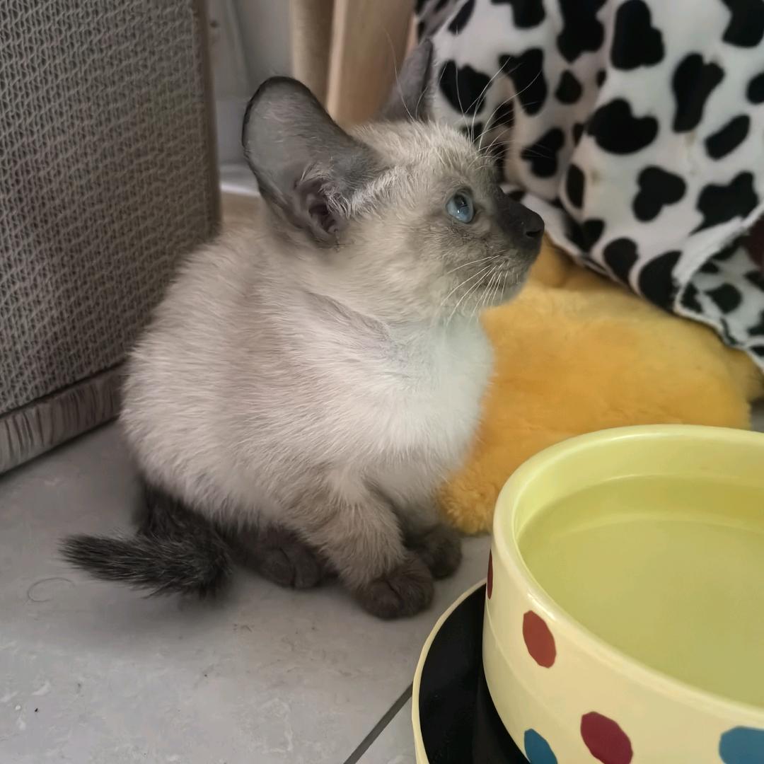 有钱开小差⭐