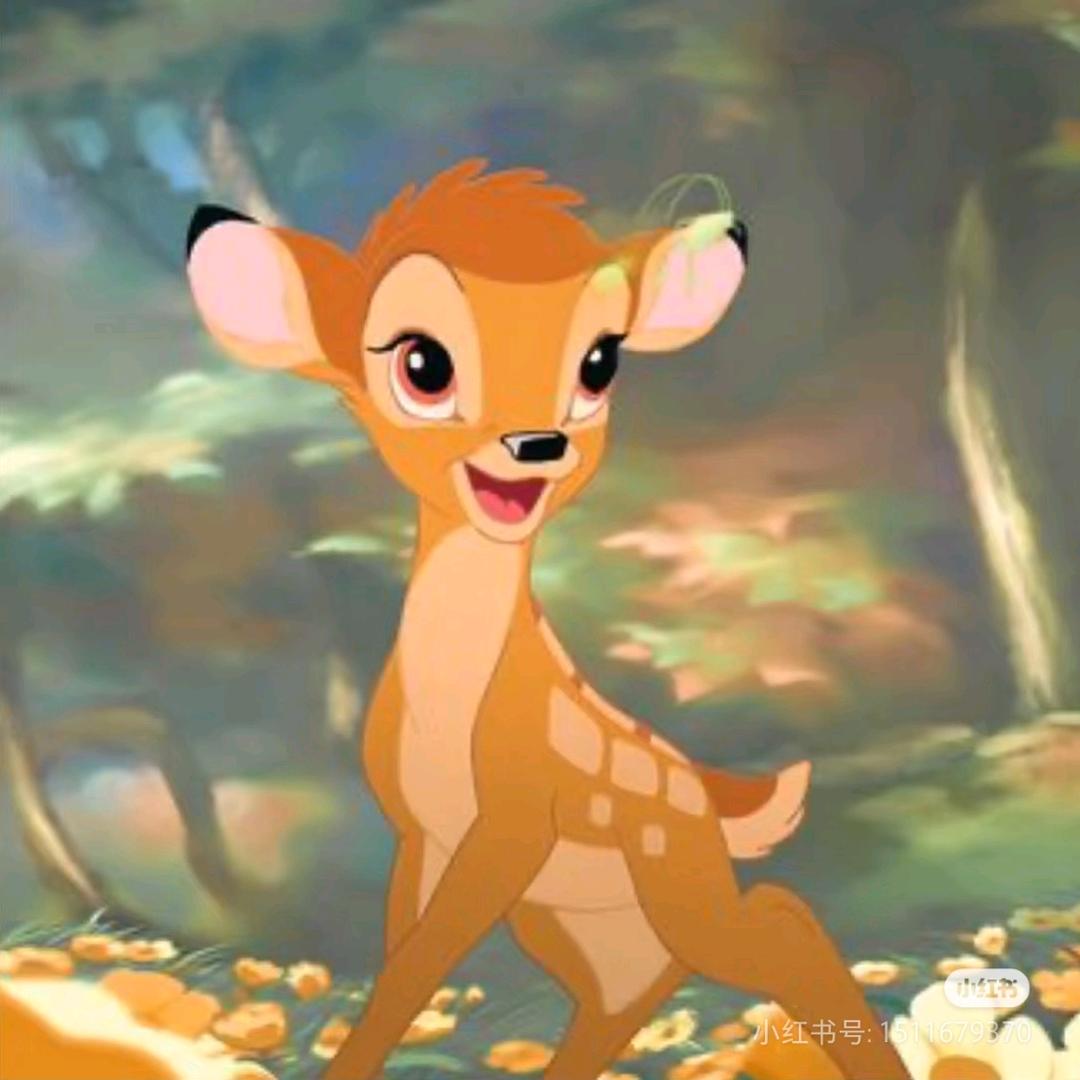 每天都要加油！