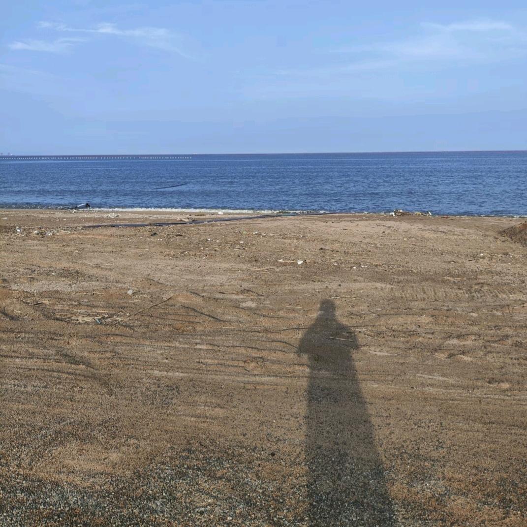 天亮了梦该醒了