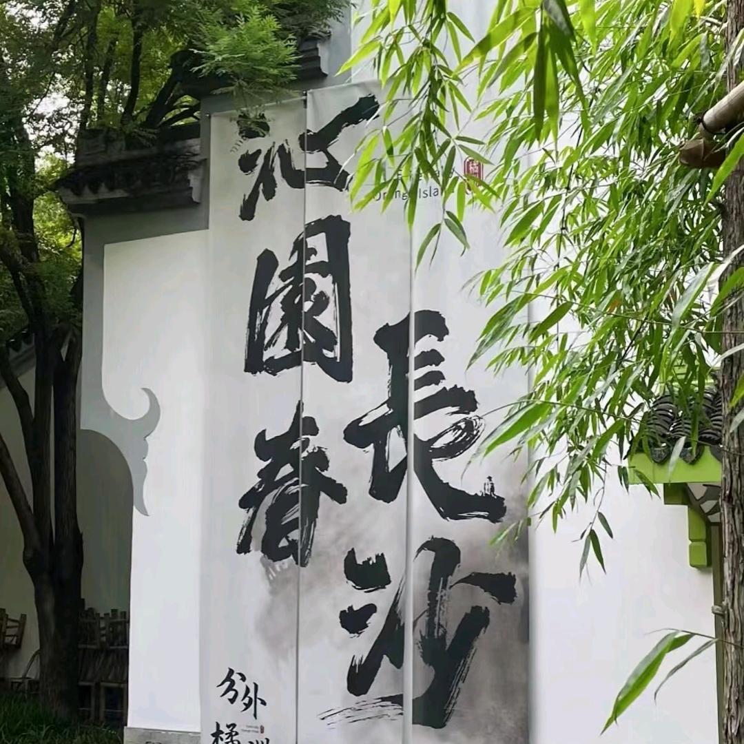 一只胖锦鲤