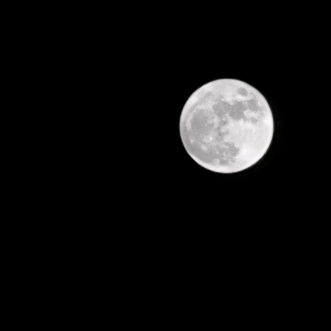 多多益善的马内