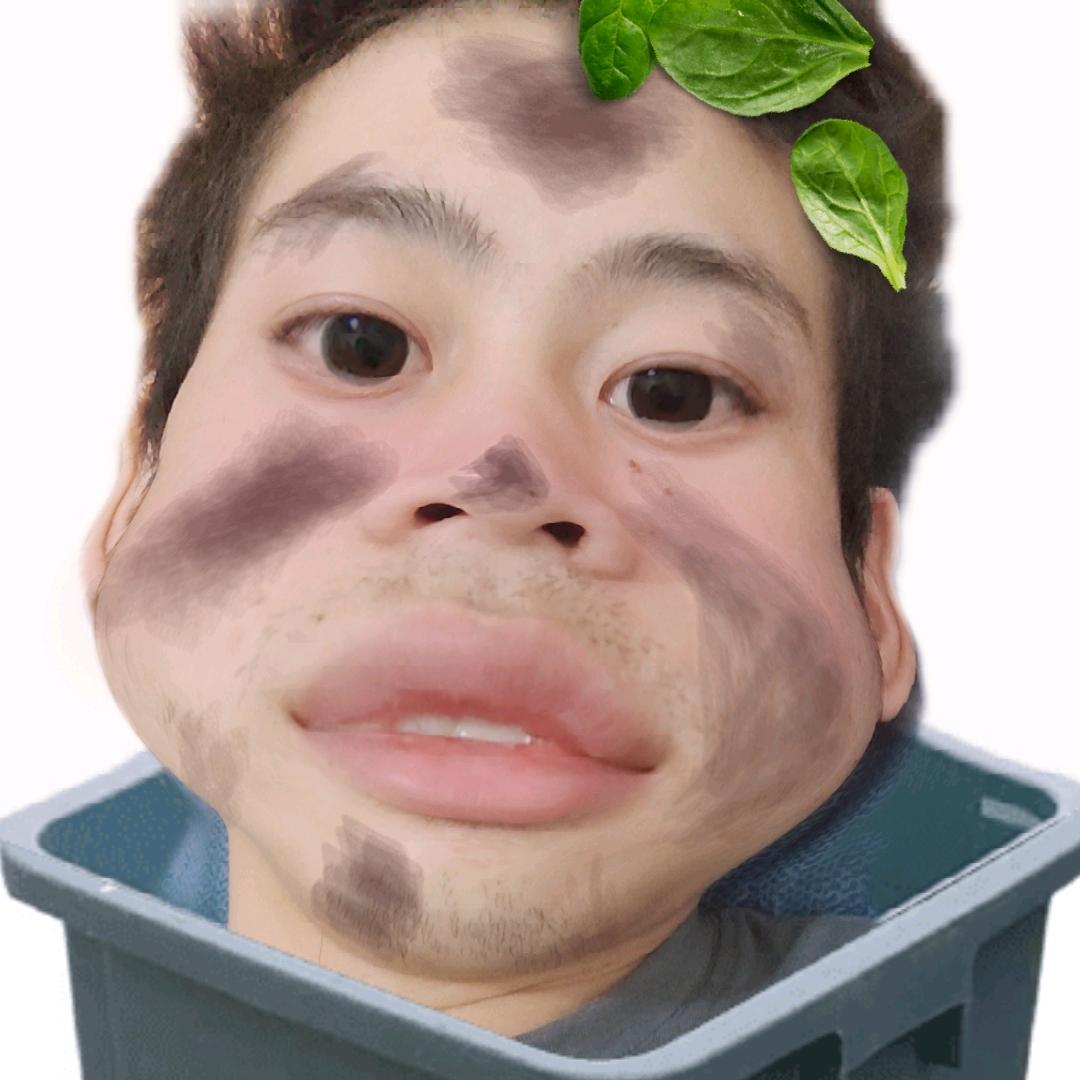 半叶子