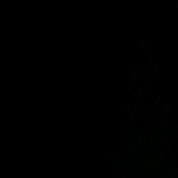 开心每一天❤️