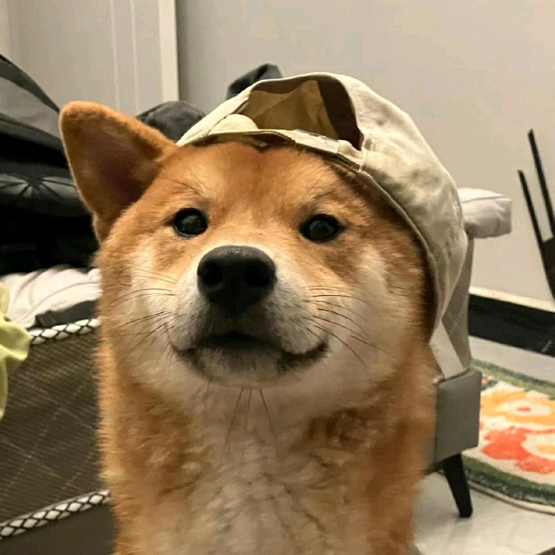 🥸🥸🥸（A-Lin对视说话版）