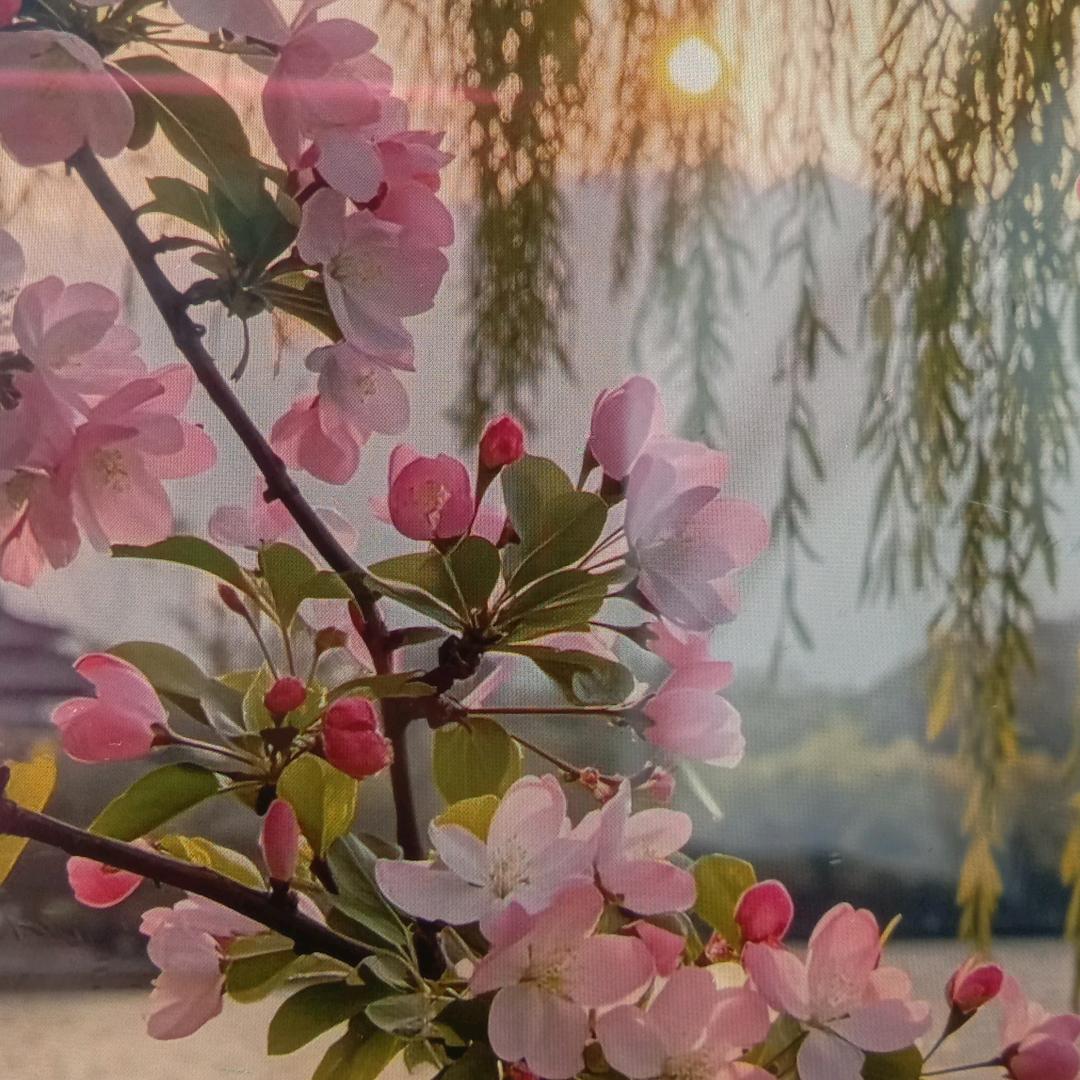 李梅～一个人